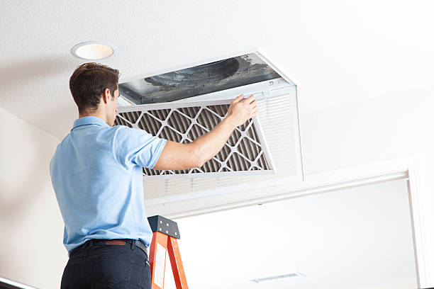 Best Air Filters and Purifiers in Reno, OH